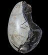 Septarian Dragon Egg Geode - Black Crystals #88159-1